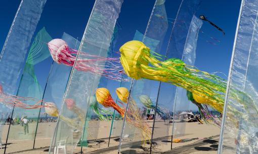 Jellyfish-shaped kites on a sunny beach.