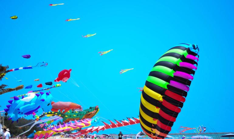 Colorful kite festival on a sunny beach.